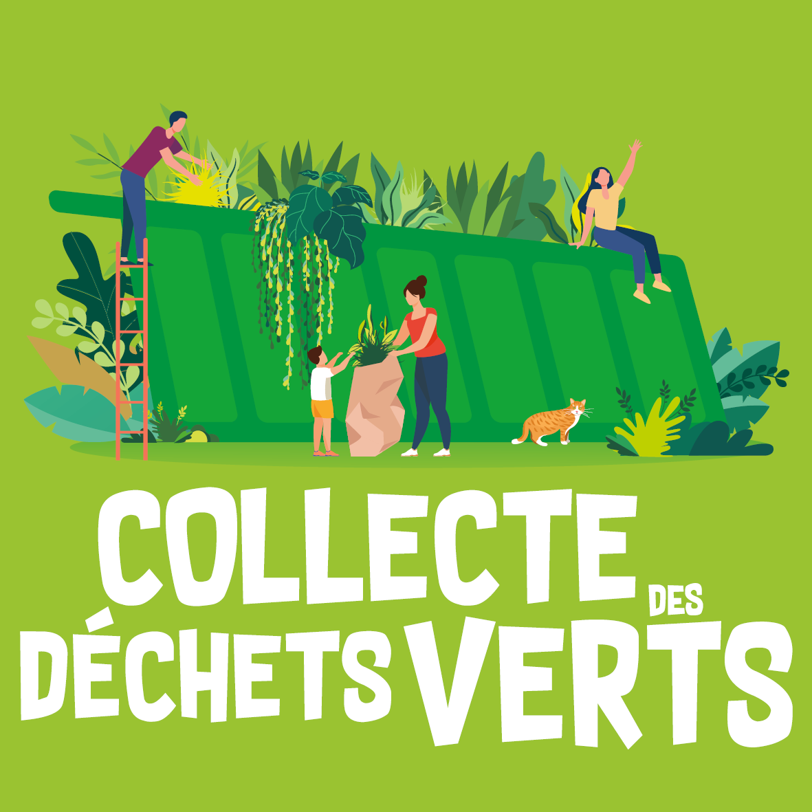 dechets verts